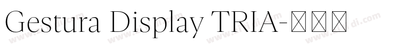 Gestura Display TRIA字体转换 Gestura Display TRIA字体转换